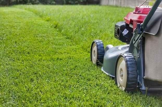 Garden Maintenance